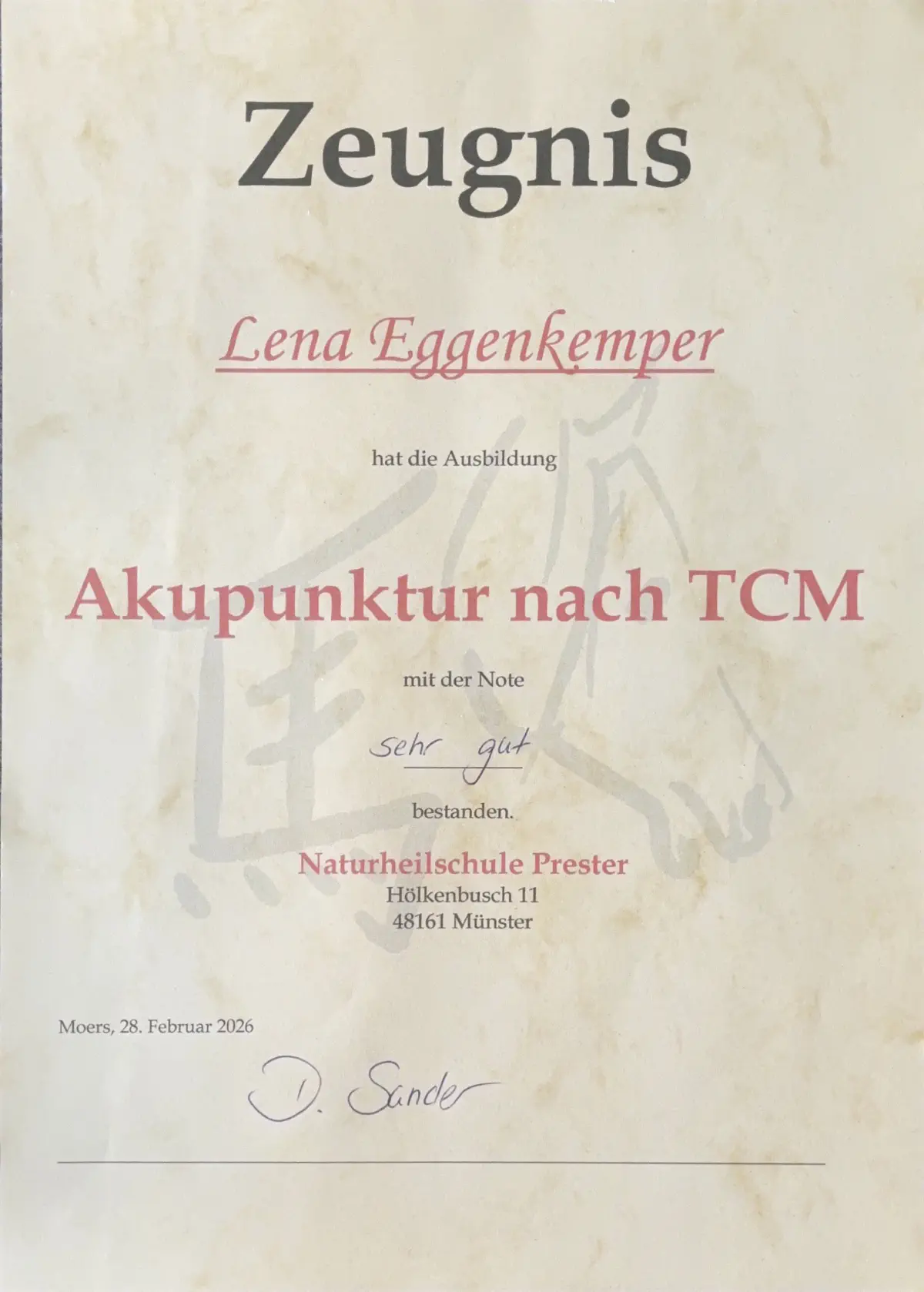 Akupunktur nach TCM