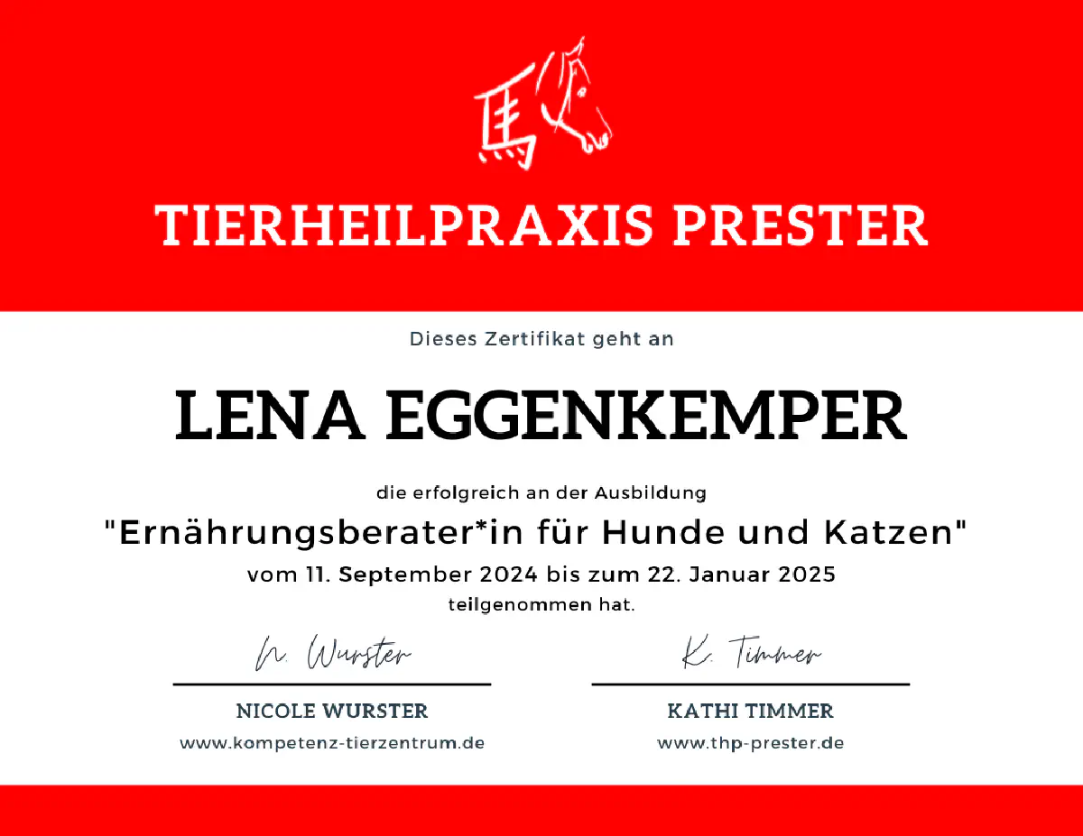 Ernährungsberater*in für Hunde und Katzen